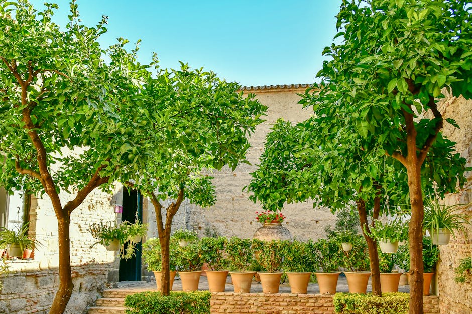 Sorolla Museum Madrid — Mediterranean courtyard with lush trees