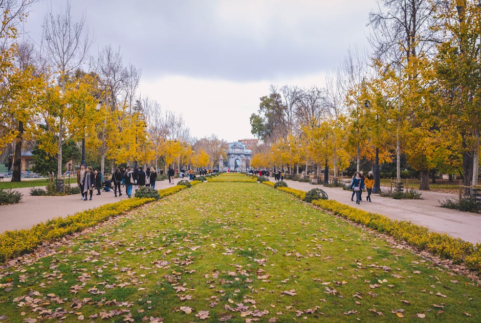 Madrid park in autumn with walking path lined by colorful fall trees