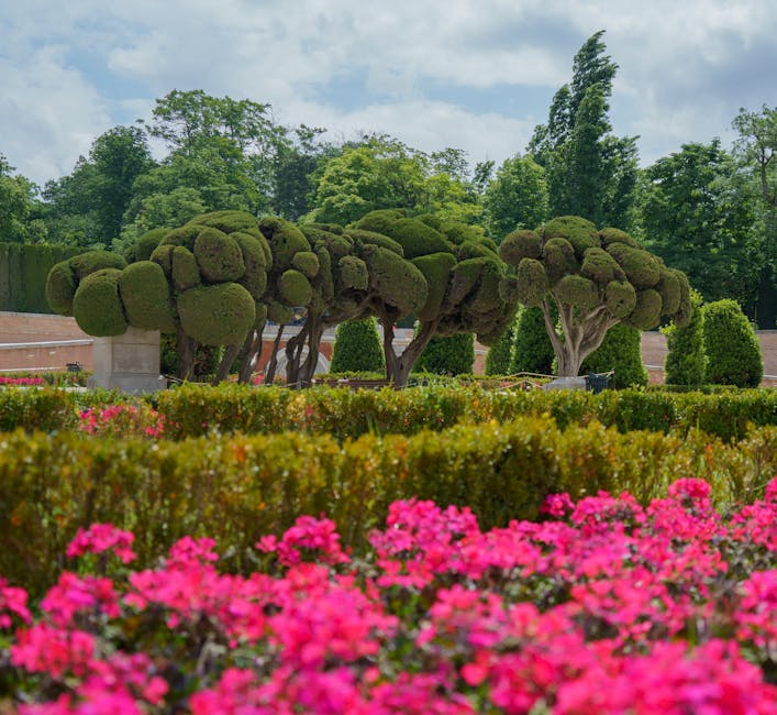 Spring gardens with colorful flowers and topiary in Madrid park